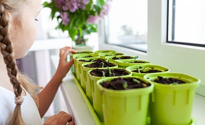 Fussy-eater-growing-salad