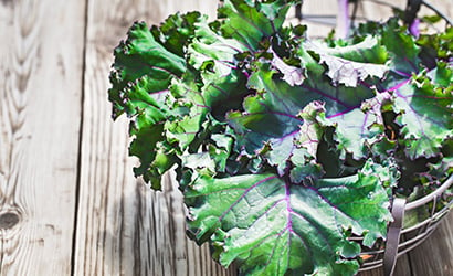 Red-kale